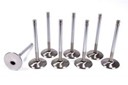 Ferrea 92-00 Civic D16Z6/Y5/Y7/Y8 6000 Series 30mm Intake Valve Set
