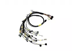 Rywire B-Series Engine Harness with FuelTech 550/OBD1 Alternator/EV14 Inj/AEM IAT and MAP Sensors