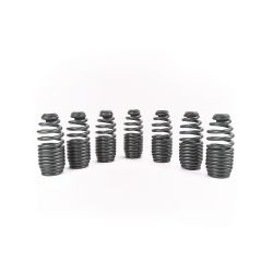 Supertech 99-00 Civic Si/92-01 Integra B-Series Loss Motion Beehive Valve Spring Kit