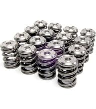 Supertech 93-01 Prelude H22A 93lbs Dual Valve Springs with Titanium Retainers Kit Supertech 93-01 Prelude H22A 93lbs Dual Valve Springs with Titanium Retainers Kit