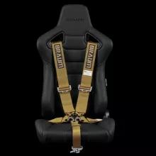 Braum Bronze 5-Pt SFI Certified Racing Harness with 3" Straps Braum Bronze 5-Pt SFI Certified Racing Harness with 3" Straps