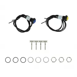 AEM 2-Button External Button Kit for CD Carbon Dashes