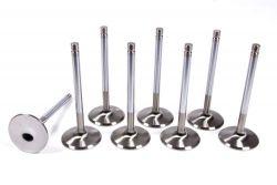 Brian Crower 92-00 Civic/93-97 Del Sol Si D16Y8/D16Z6 Oversize +1mm 31mm Dished Intake Valves