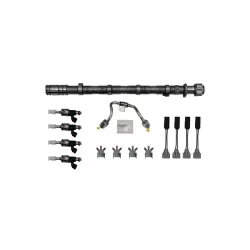 Hondata 17-21 Civic Si Fuel System