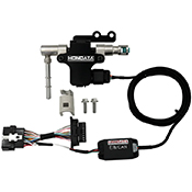 Hondata Fuel System