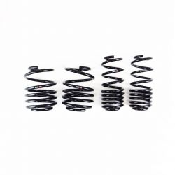 RS-R 24-25 Integra Type S Down Sus Lowering Springs