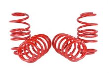 Skunk2 12-15 Civic Lowering Springs