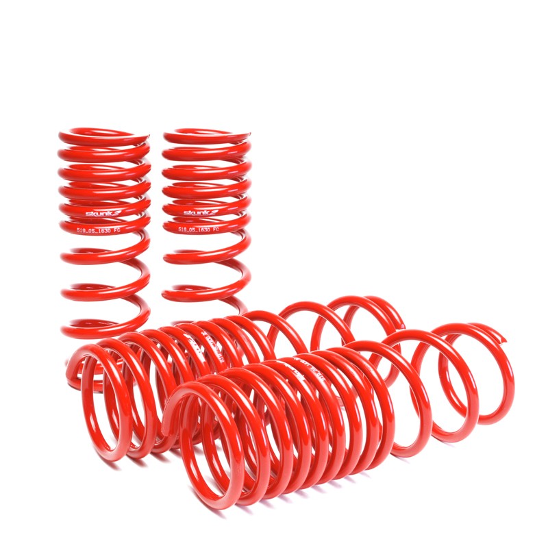 Skunk2 90-97 Accord Lowering Springs