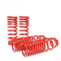 Skunk2 90-93 Integra Lowering Springs