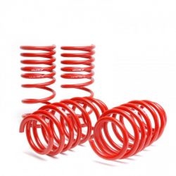 Skunk2 Racing 16-21 Civic Lowering Springs