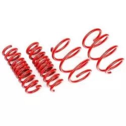 AST 83-87 Prelude Lowering Springs