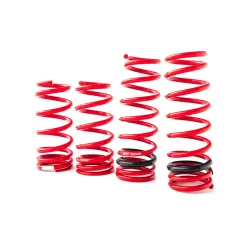 Swift 09-14 Fit GE8 Sport Lowering Springs