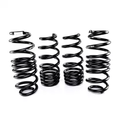 Swift 23-27 Integra A-Spec Spec-R Lowering Springs