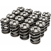 Ferrea Valve Springs And Retainers