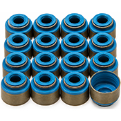 GSC Power-Division Valve Seals