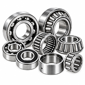 Transmission Bearings