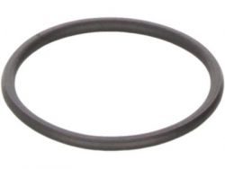 Honda 02-06 RSX / 01-05 Civic Shock Mounting Seal