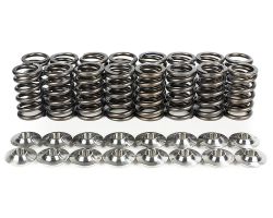 Brian Crower B18C/B16A/B17A Dual Spring and Steel Retainer Kit