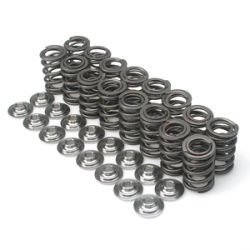 Brian Crower K-Series Valve Springs with Steel Retainers
