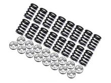 Brian Crower D16Y8/D16Z6 Single Spring and Titanium Retainer Kit