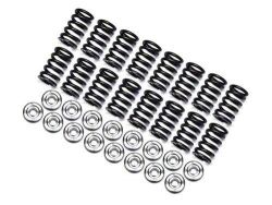 Brian Crower D16Y8/D16Z6 Single Spring and Titanium Retainer Kit