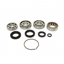 Synchrotech 02-04 RSX Type S Bearing and Seal Kit