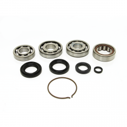 Synchrotech 05-06 RSX Type S / 02-11 Civic Si Bearing and Seal Kit