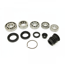 Synchrotech 94-01 GSR/ITR/B16 Hydro/LS Bearing and Seal Kit