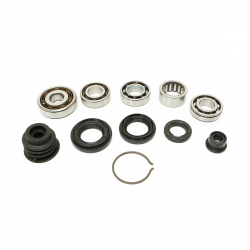 Synchrotech 01-05 SLW D17 Civic SOHC Bearing and Seal Kit