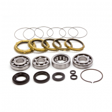 Synchrotech 02-06 RSX Base Carbon Rebuild Kit