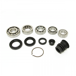 Synchrotech B17/B18A YS1 Bearing and Seal Kit
