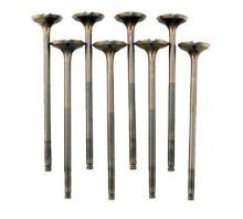 Blox Racing 00-09 S2000 High Compression Intake Valves