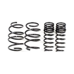 Eibach 13-17 Accord 2.4L / 15-18 TLX 2.4L Pro-Kit Lowering Springs