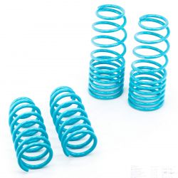 Godspeed Project 98-02 Accord / 99-03 TL / 01-03 CL Traction-S Lowering Springs
