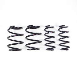 RS-R 18-22 Accord 2.0L Down SUS Lowering Springs