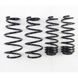 RS-R 09-13 Fit Down SUS Lowering Springs
