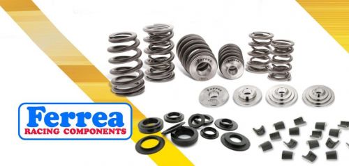 Skunk2 Alpha Series Dual Valve Spring and Retainer Kit K20/K24