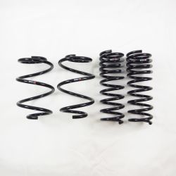 RS-R 15-17 TLX Down Sus Lowering Springs