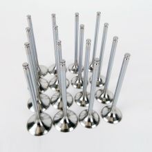 Skunk2 90-01 Integra VTEC Alpha Series Valves: Stock size, Standard Compression