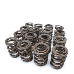 Skunk2 90-01 Integra / 99-00 Civic SI B Series VTEC Alpha Dual Valve Springs