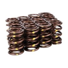 Skunk2 94-01 Integra Pro Series XP Valve Springs