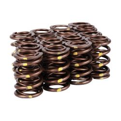 Skunk2 94-01 Integra Pro Series XP Valve Springs