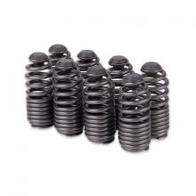 Skunk2 B-Series VTEC Alpha Valve Springs and Titanium