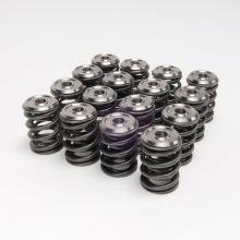 Skunk2 B-Series VTEC Alpha Valve Springs and Titanium Retainers