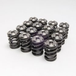 Skunk2 B-Series VTEC Alpha Valve Springs and Titanium Retainers