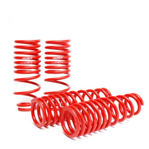 Skunk2 92-95 Civic Lowering Springs | 519-05-1480 | K Series Parts