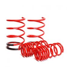 Skunk2 01-05 Civic Lowering Springs Skunk2 01-05 Civic Lowering Springs