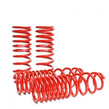 Skunk2 92-01 Prelude Lowering Springs Skunk2 92-01 Prelude Lowering Springs