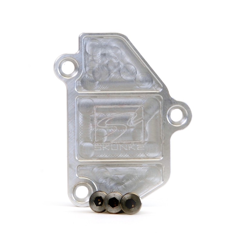 Skunk2 90-01 Integra VTEC Block Off Plate