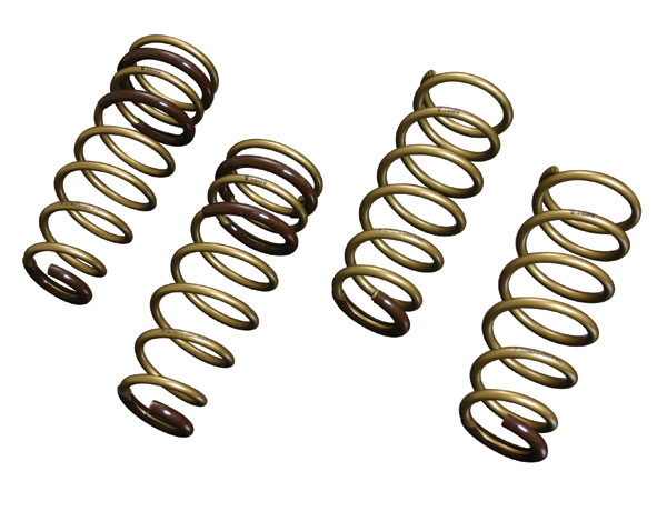 Tein 04-08 TSX S Tech Lowering Springs